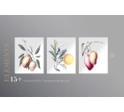 Aam Pattern-Tropicals-Tashi