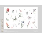 Enamor Design-Floral-Tashi