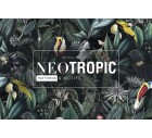 Neotropic-Tropicals-Tashi