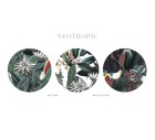 Neotropic-Tropicals-Tashi