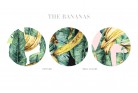 The Bananas-Tropicals-Tashi