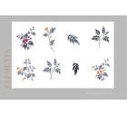 Periwinkle-Floral-Tashi
