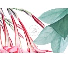 Exotic Garden-Floral-Tashi