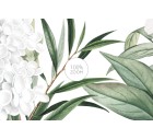 BLOEISEL-Floral-Tashi