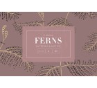 FERNS - Vector| AI. EPS-More+-Tashi
