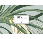 Botanical Luxe-Tropicals-Tashi