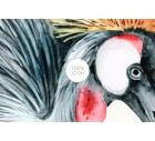 Golden Crest-More+-Tashi