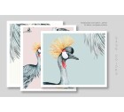 Golden Crest-More+-Tashi