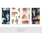Tigre-More+-Tashi