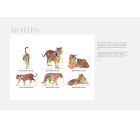 Tigre-More+-Tashi