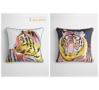 Tigre-More+-Tashi
