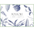 Mod-Toile-Indigo-Tashi