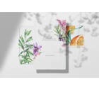 The Orchard-Tropicals-Tashi