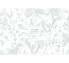 Regia-Tropicals-Tashi