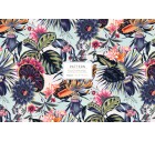 Utropia-Tropicals-Tashi