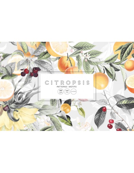 Citropsis