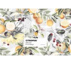 Citropsis-Tropicals-Tashi