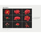 Peony Royale-Floral-Tashi