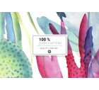 Deep Waters-More+-Tashi