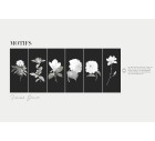 Flores Blancas-Floral-Tashi