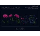 Eclectic Bloom-Floral-Tashi
