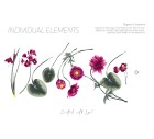 Imbali-Floral-Tashi