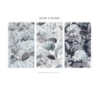 Elegancia-Floral-Tashi