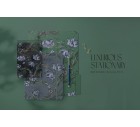 Georgia, Print Pattern Design.-Floral-Tashi