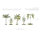 Tropical Patio!-Tropicals-Tashi