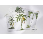 Tropical Patio!-Tropicals-Tashi