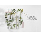 Tropical Patio!-Tropicals-Tashi