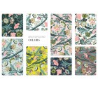 époque Pattern Design-Floral-Tashi