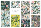 époque Pattern Design-Floral-Tashi