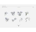 Celine-Floral-Tashi