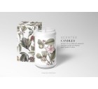 Botanique Chic Print Patterns.-Tropicals-Tashi