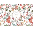 Delonix-Floral-Tashi
