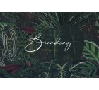 Thicket-Tropicals-Tashi