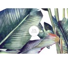 Reginae | Tropical Luxe-Tropicals-Tashi